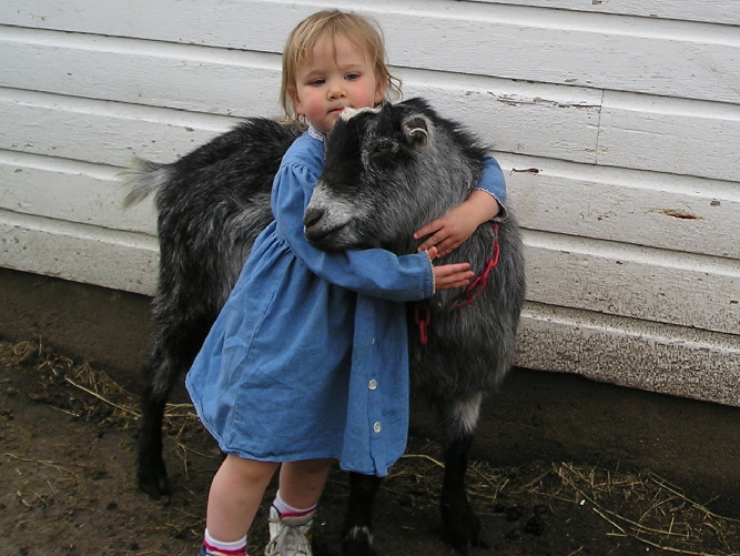 Wethers make great pets!